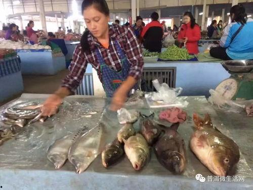 免费吃瓜叫卖视频,视频直播带你一探究竟 第3张 免费吃瓜叫卖视频,视频直播带你一探究竟 第3张