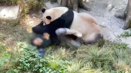 今日动物爆料最新消息,揭秘神秘生物新发现 第2张 今日动物爆料最新消息,揭秘神秘生物新发现 第2张