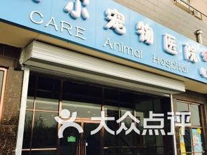 保定宠物店爆料视频,揭秘宠物行业背后真相  第2张